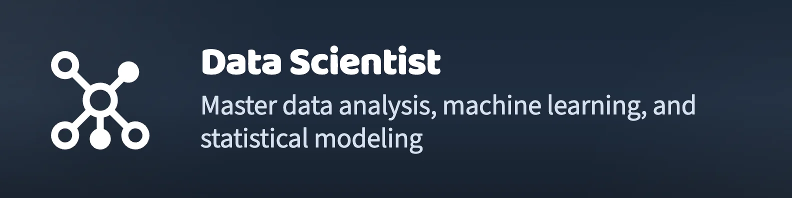 Data Scientist