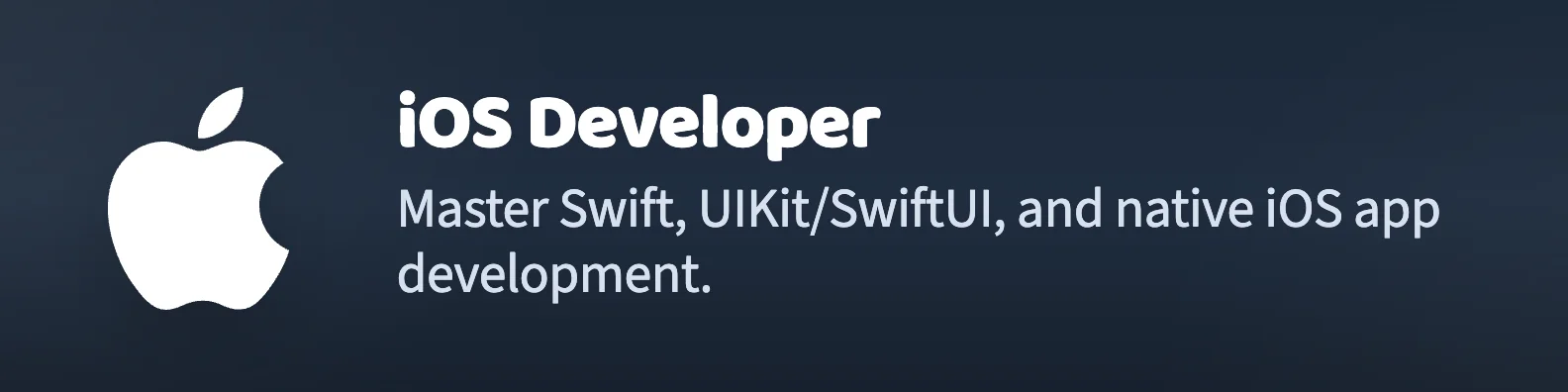 iOS Developer