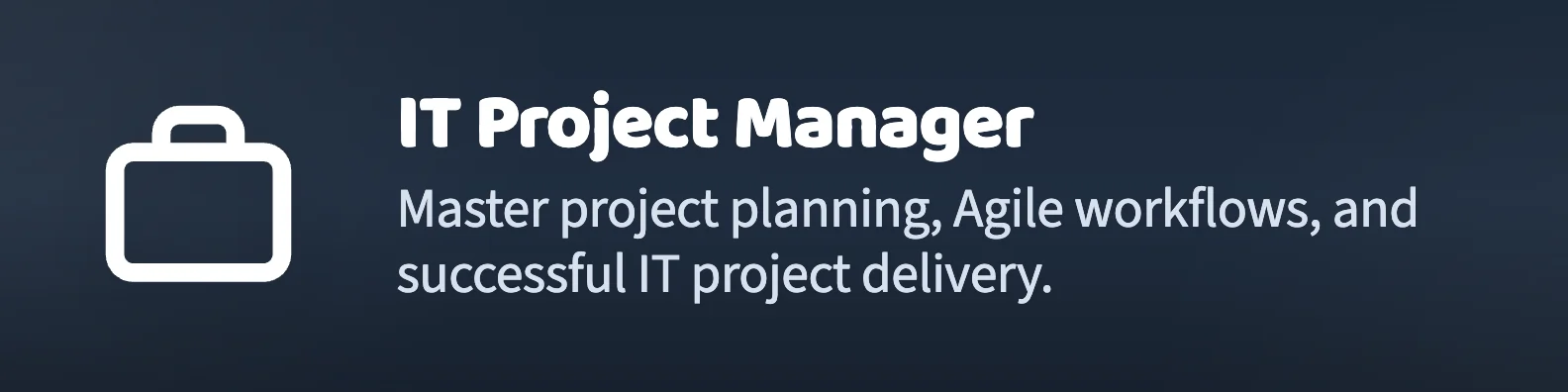 IT Project Manager