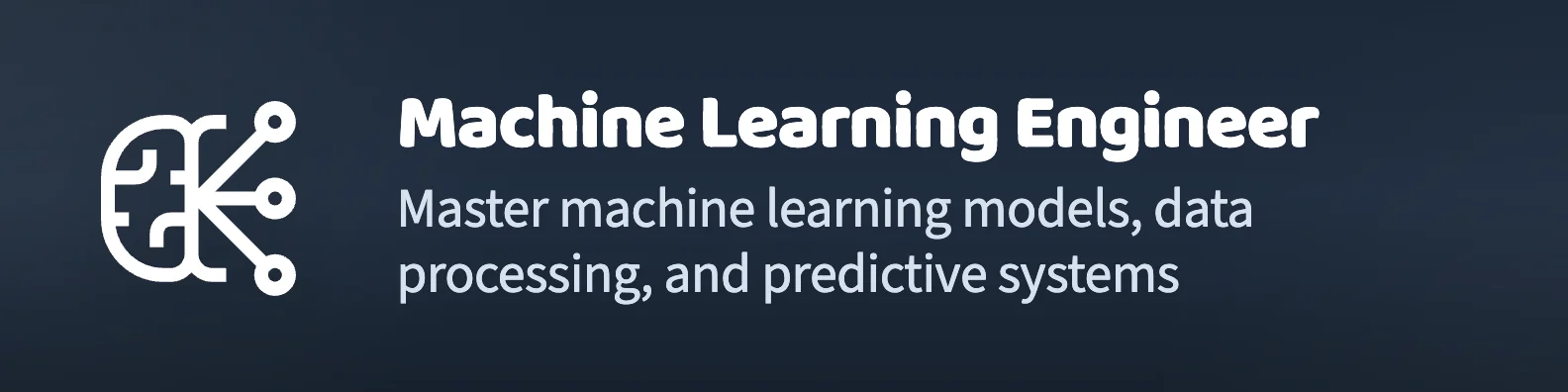Machine Learning Engineer